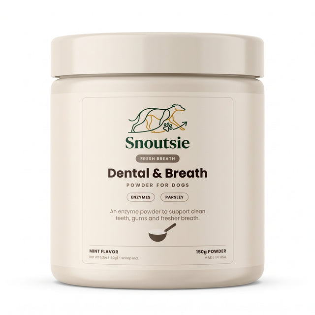 Dental & Breath