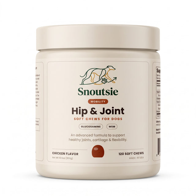 Hip & Joint Soft Chews