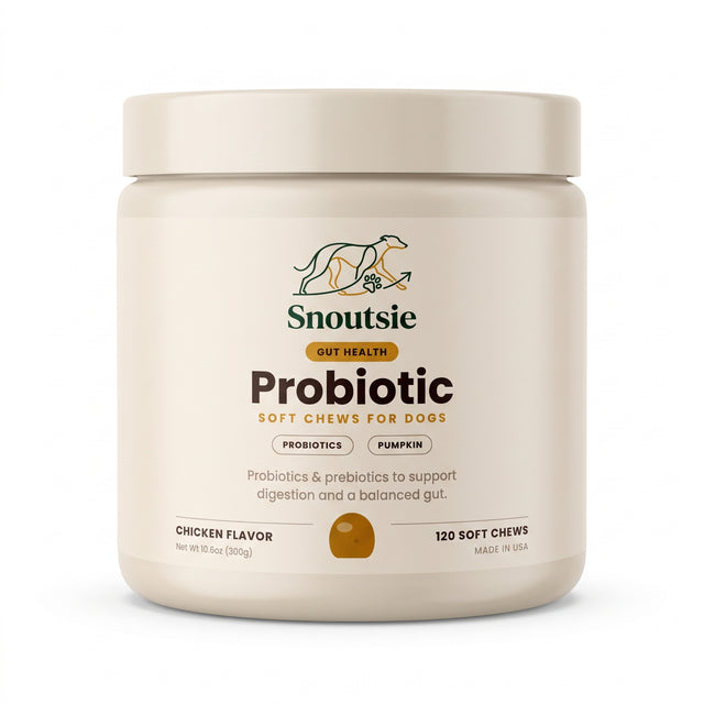 Probiotic & Gut Chews