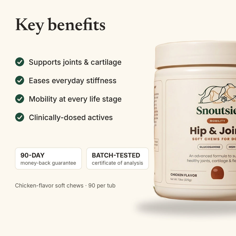 Key benefits of Snoutsie Hip & Joint soft chews