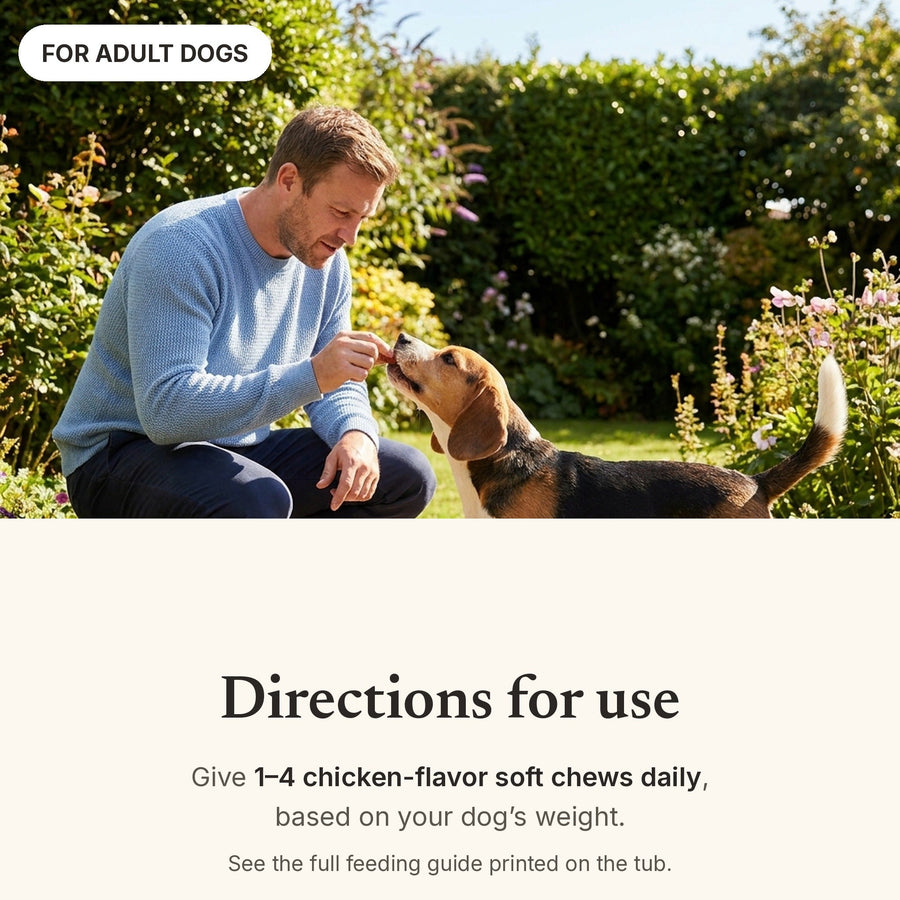 Directions for use for Snoutsie Hip & Joint soft chews