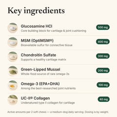 Key ingredients and doses in Snoutsie Hip & Joint