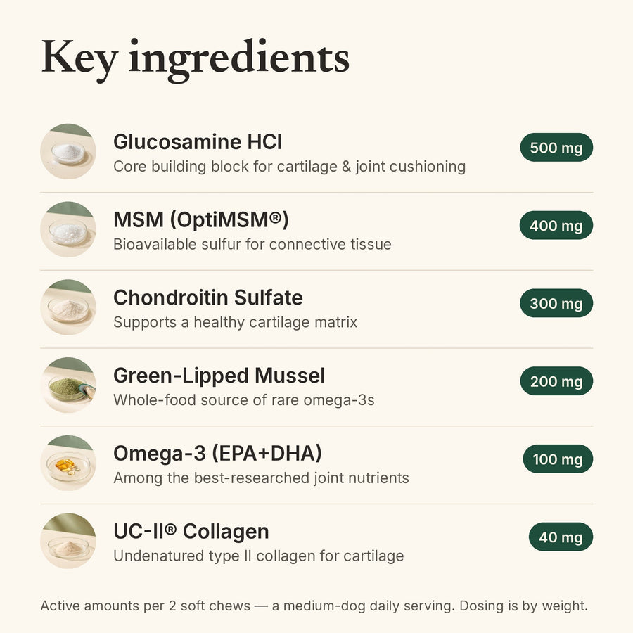Key ingredients and doses in Snoutsie Hip & Joint