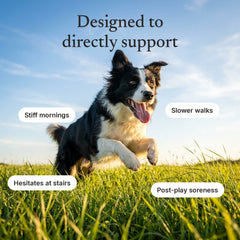 Signs Snoutsie Hip & Joint is designed to support