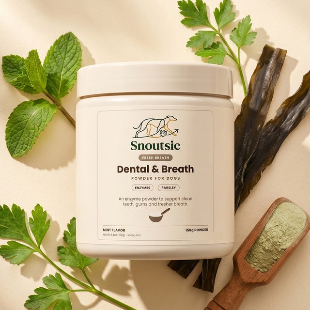 Dental & Breath – proszek na zęby i oddech