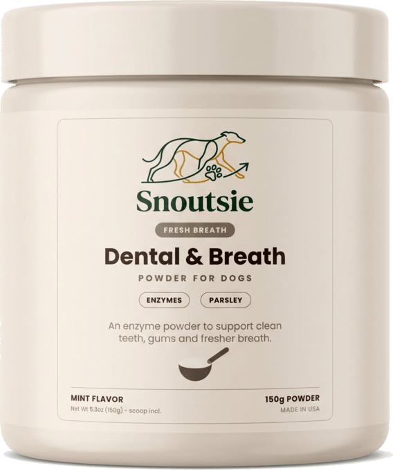 Dental & Breath — proszek na zęby i oddech