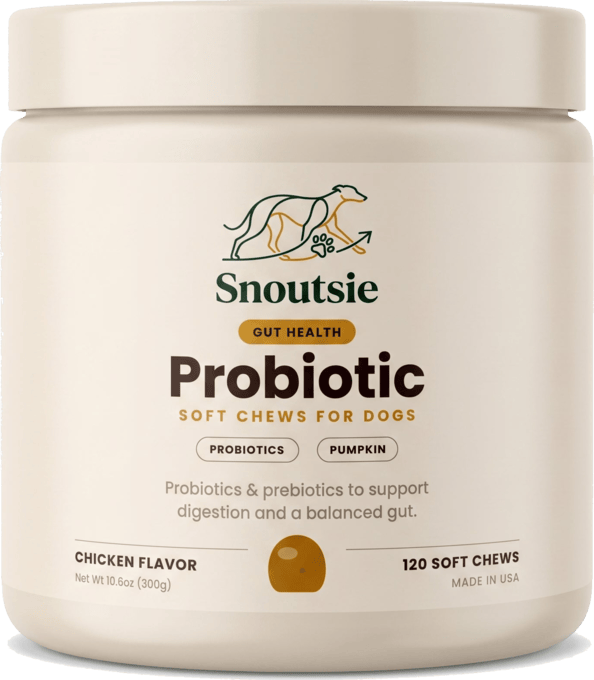Probiotic & Gut — przysmaki probiotyczne