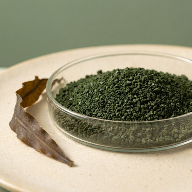 Ascophyllum Nodosum ingredient in a glass dish