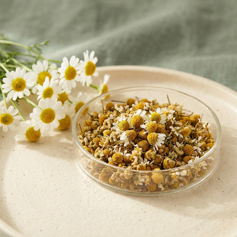 German Chamomile ingredient in a glass dish