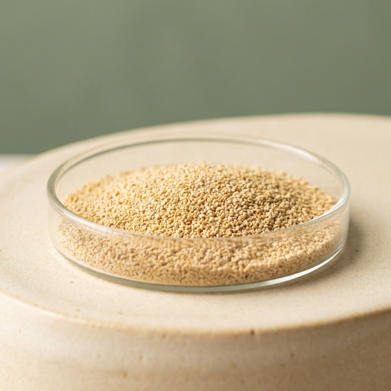 Enzyme System ingredient in a glass dish