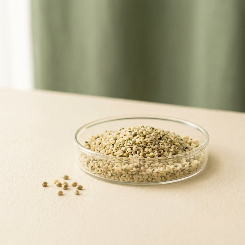 Hemp Seed Powder ingredient in a glass dish