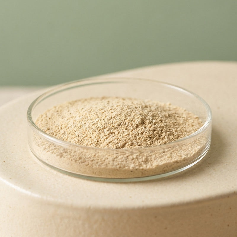 Postbiotic Yeast ingredient in a glass dish