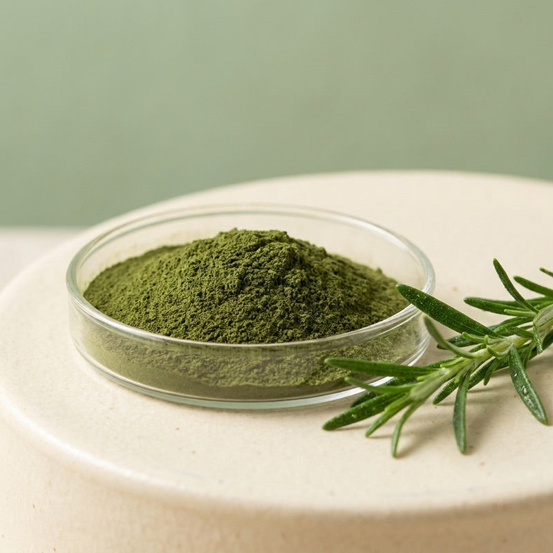 Rosemary Leaf Extract ingredient in a glass dish